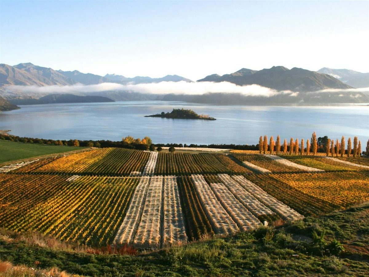 Wine Class - New Zealand