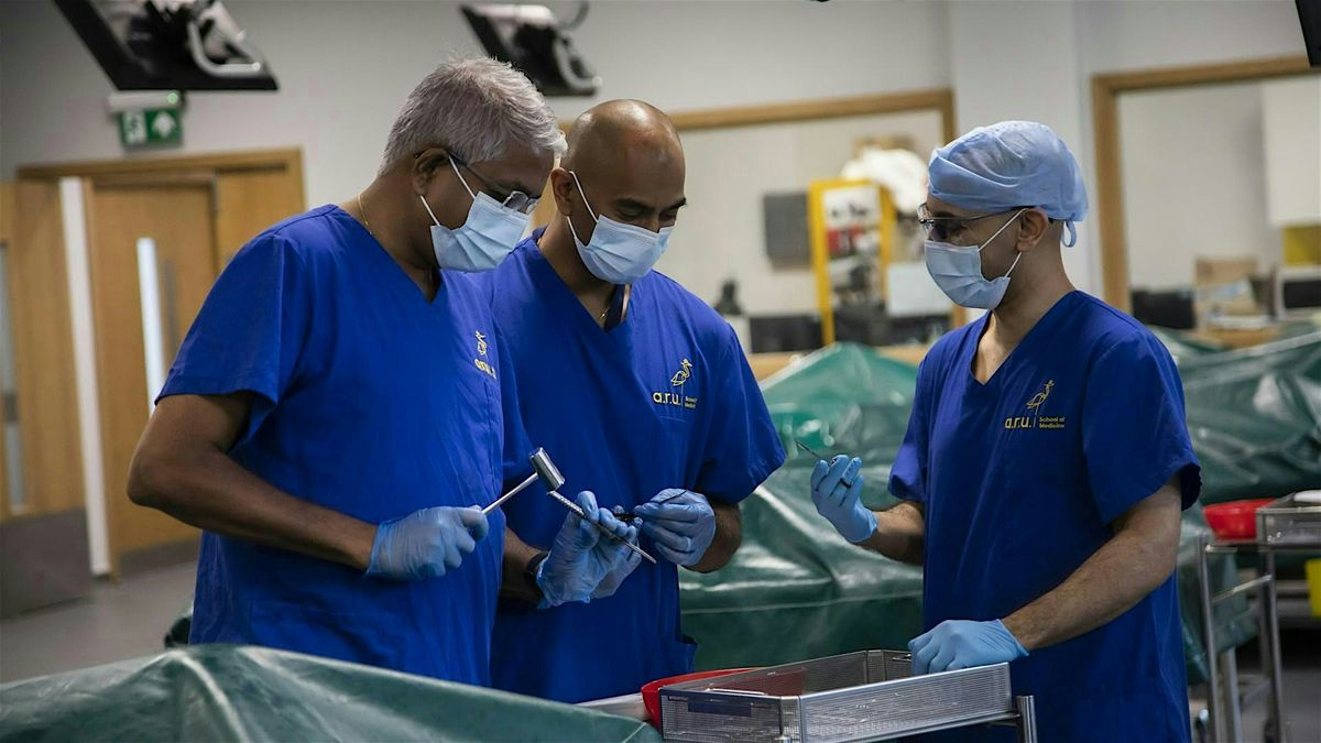 The Critical Issues Conference: Diversity in Modern Healthcare Leadership