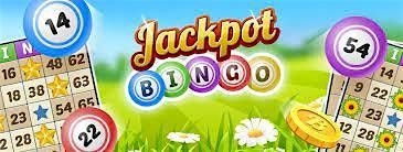 Jackpot Bingo at Plainfield Township Vol. Fire Co.