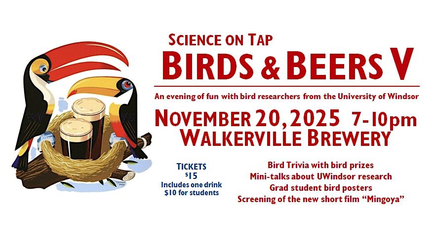 Birds and Beers V