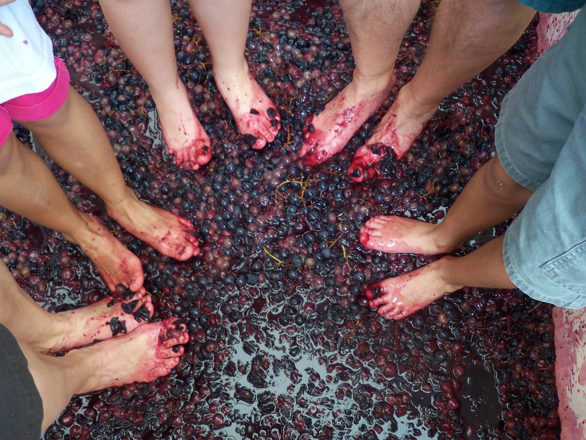 Grape Stomp