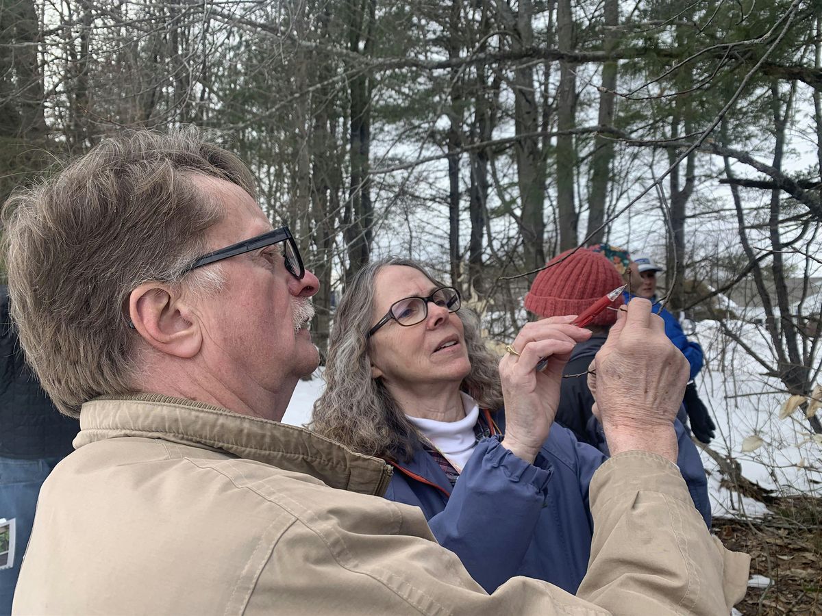 Identifying Trees of Maine