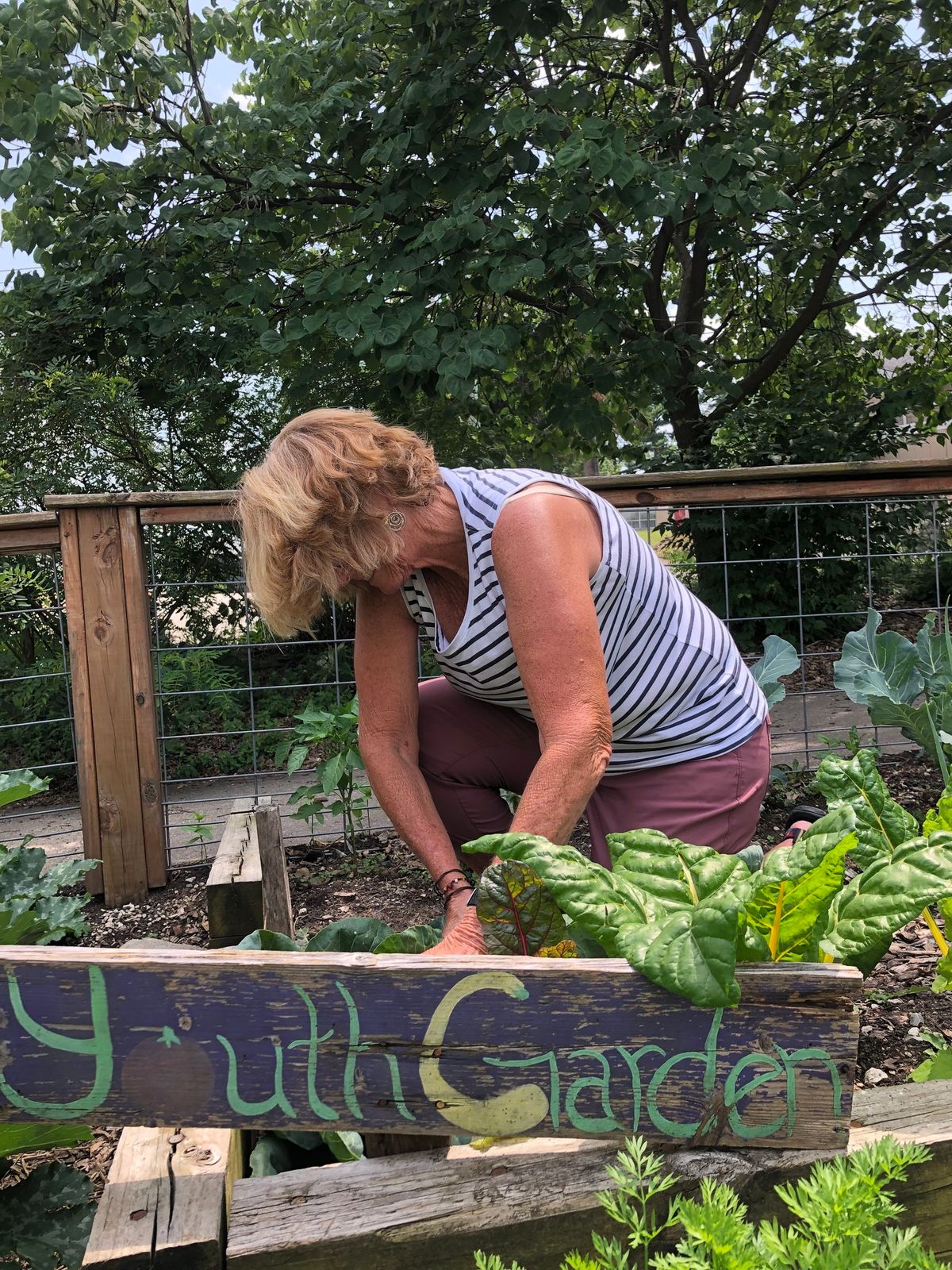 Kids Garden