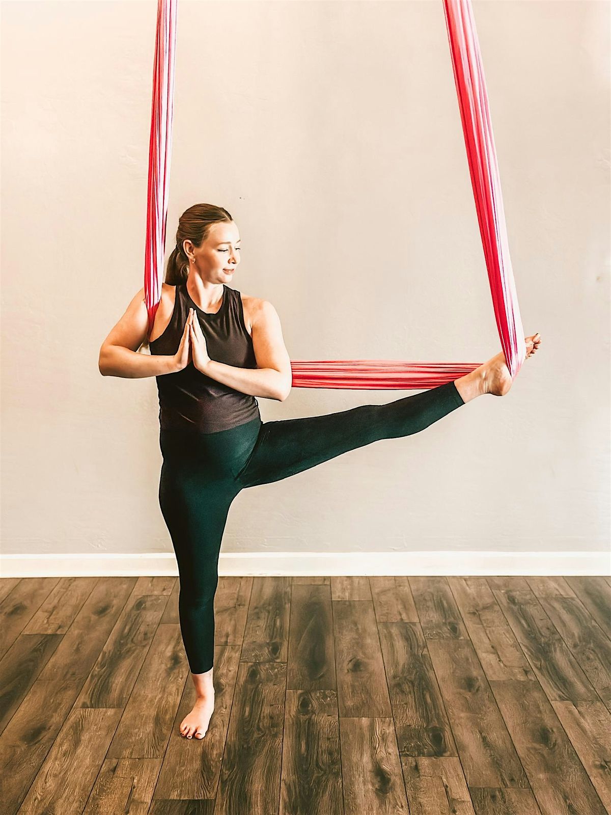 Prenatal Aerial Yoga Teacher Training