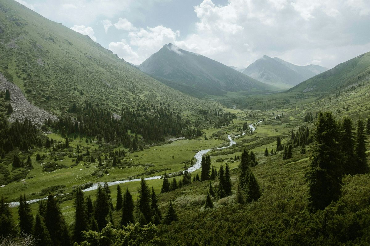 Befriending Your Nervous System 102: Deepening the Connection