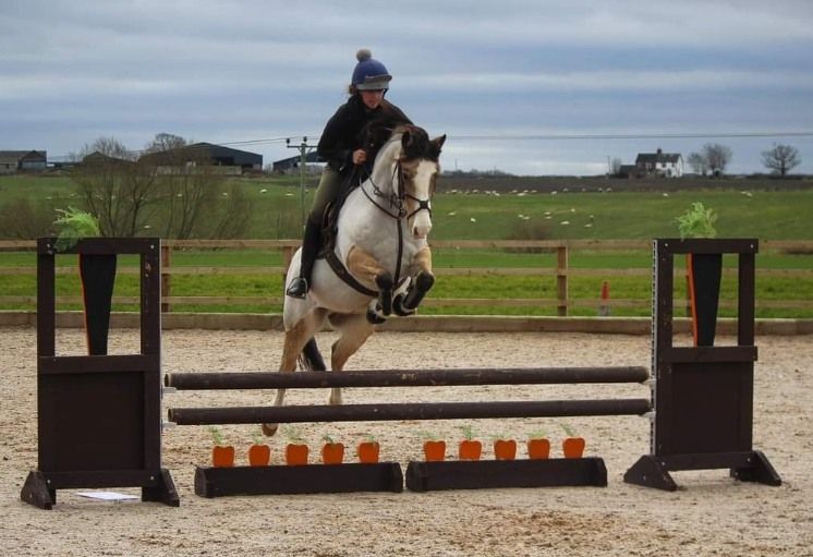 Andrew Collins Practical Working Hunter Clinic