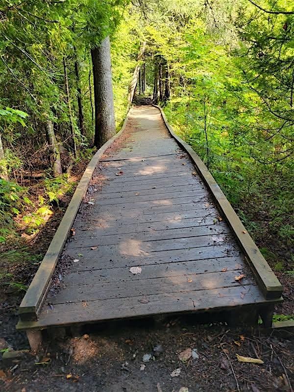 Find Yourself in Nature - Nature\u2019s Flow