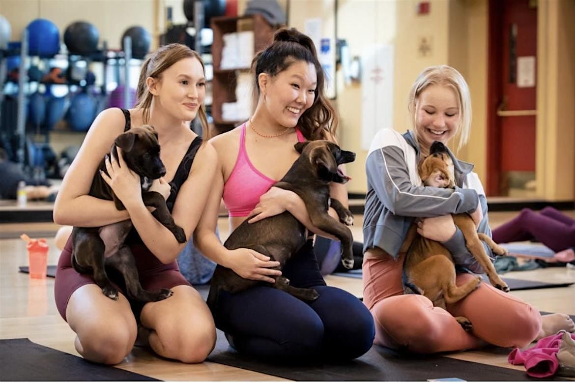 Rescue Puppy Yoga @ Colorado Athletic Club Tabor Center