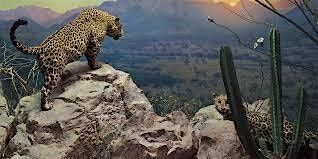 Adventure Story Telling Series #7  - Close Encounters of the Animal Kind