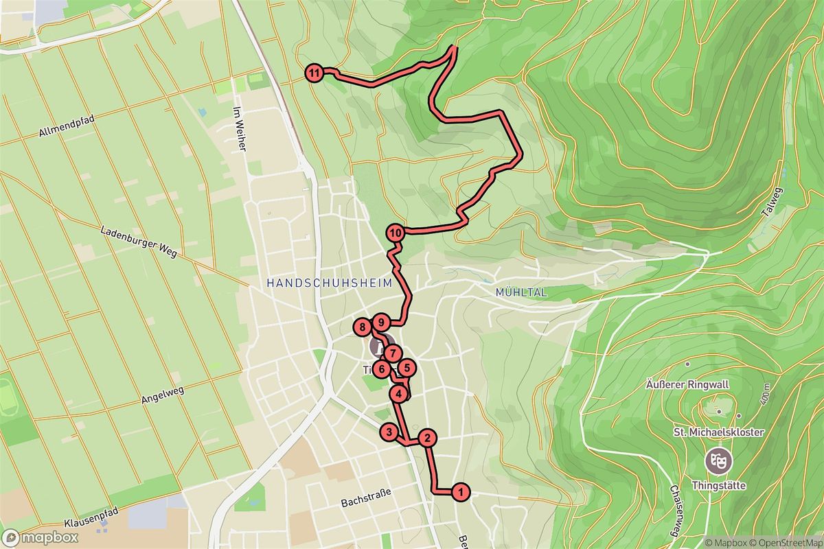 Heidelberg Audio Tour: Mysteries and Manors of Handschuhsheim