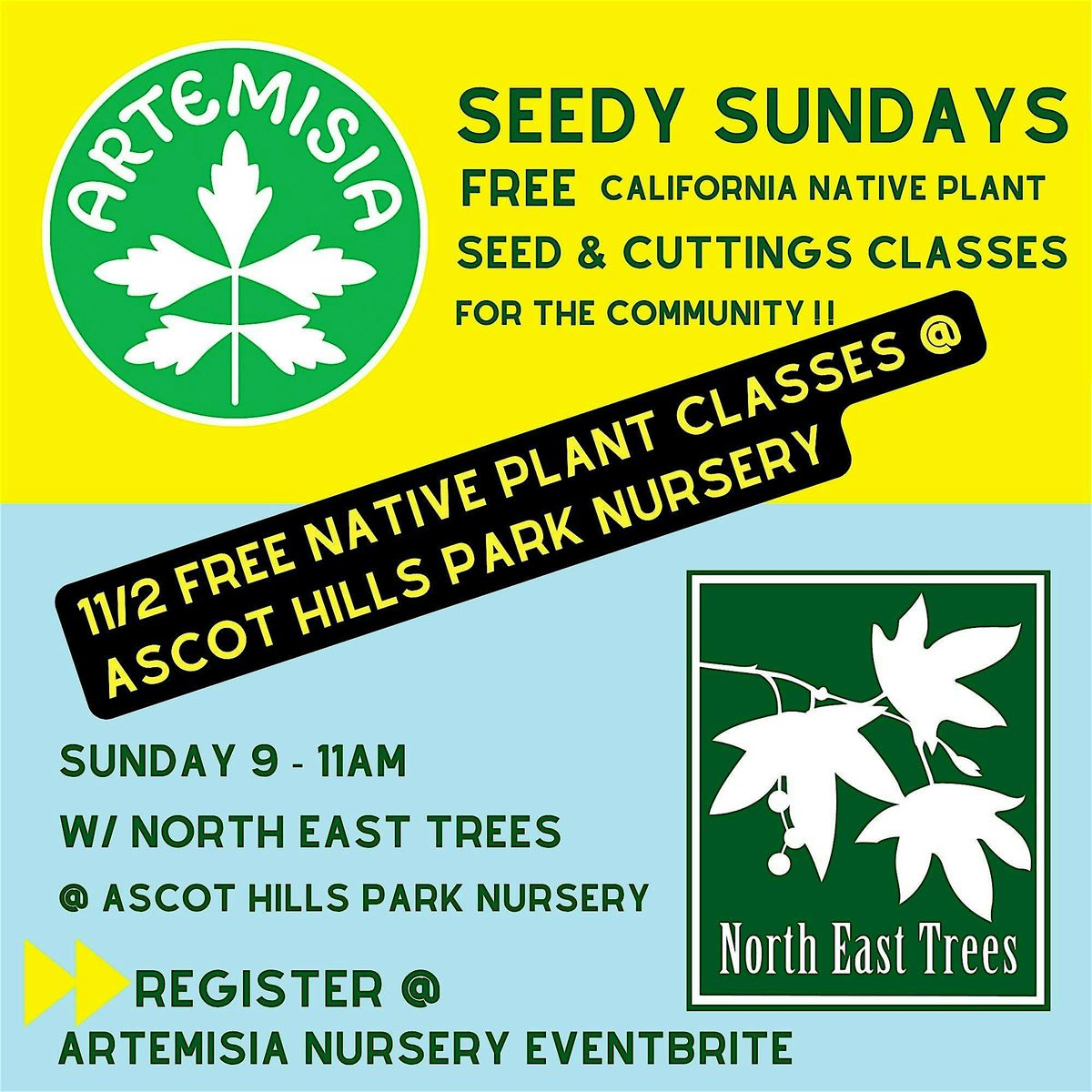 Native Plant & Seed Propogation Classes - FREE @ Ascot Hills Park