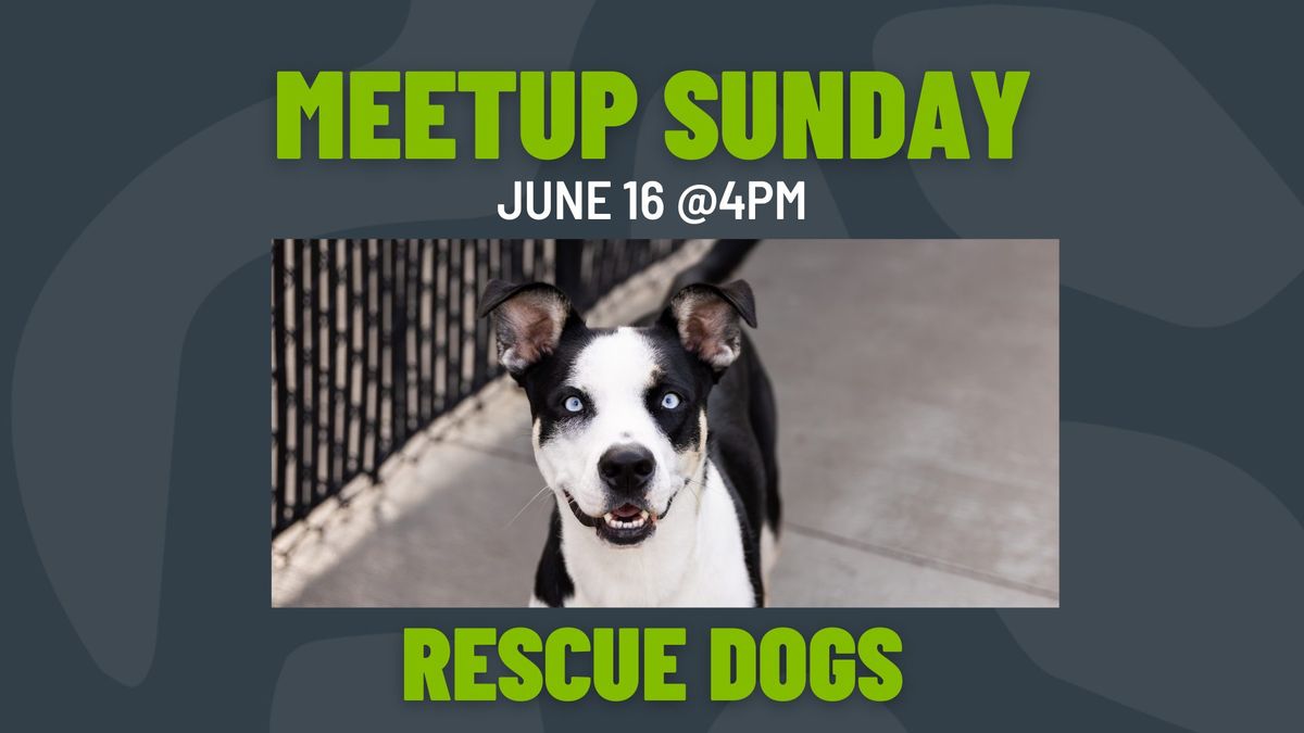 Meetup Sunday: Rescue Dogs 