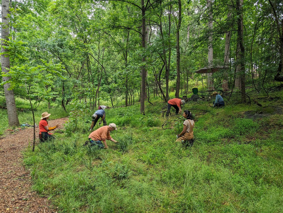 Invasive Plant Workday  at Confluence Natural Area