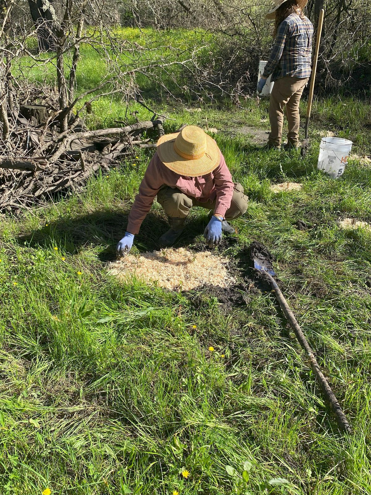 Laguna Stewards Day at Sam Jones Hall Habitat Preserve\/D\u00eda de Stewards