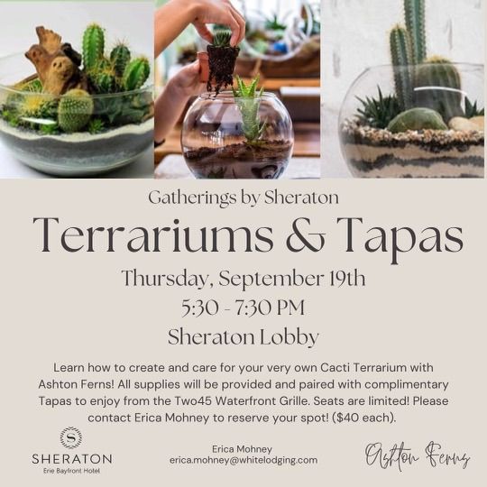 Terrariums & Tapas - Gatherings by Sheraton