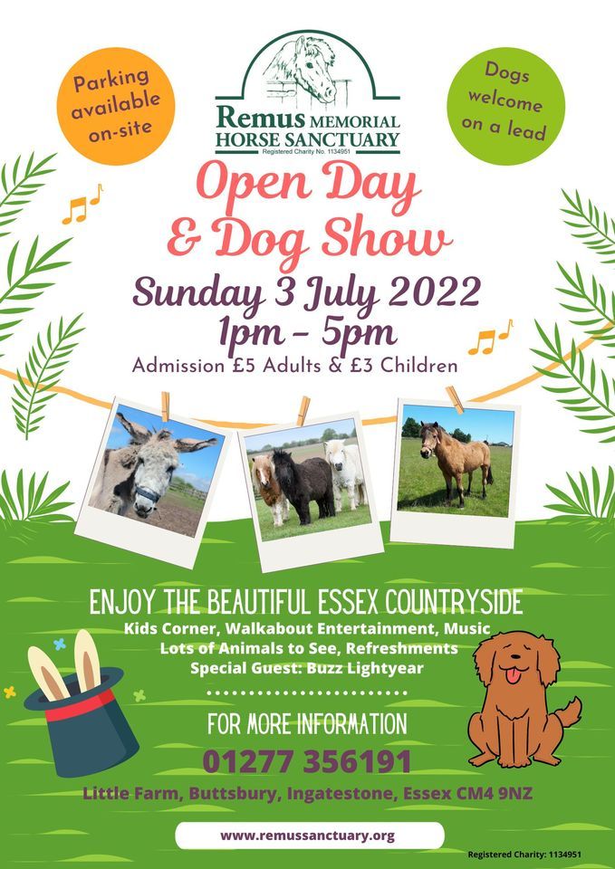 Open Day and Dog Show at the Sanctuary, Remus Horse Sanctuary, Great