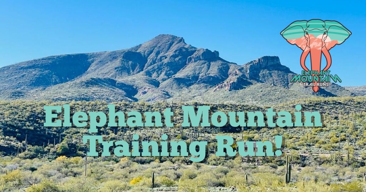 Elephant \ud83d\udc18 Mountain \u26f0\ufe0f Training Run!