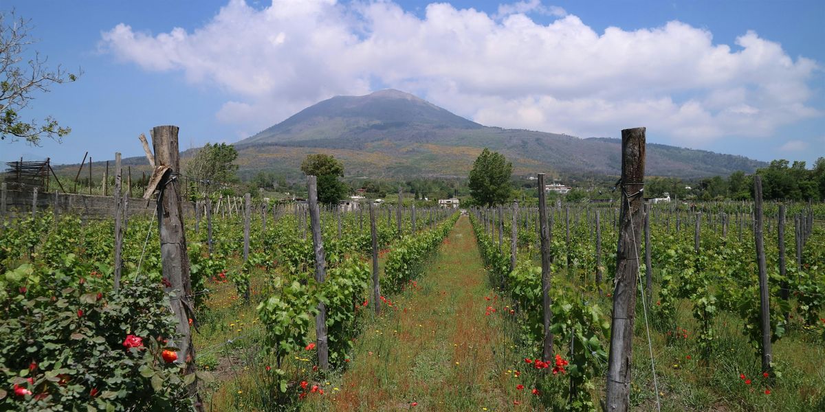 Uncorked: A Tour of Campania (Restaurant Edition)
