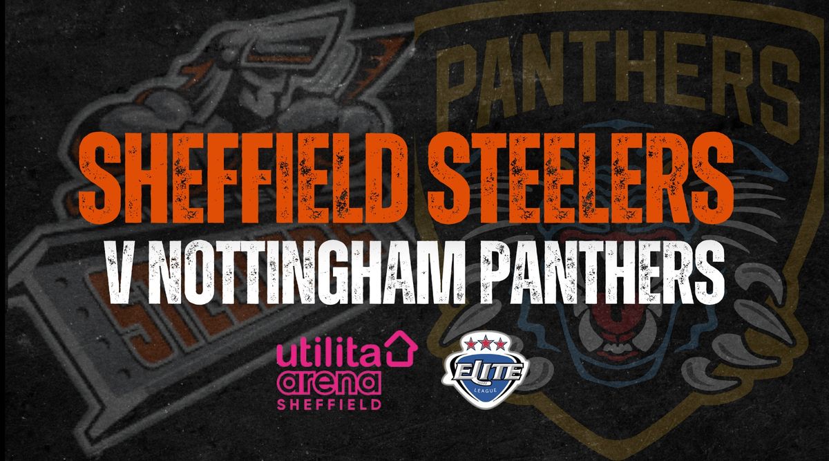 Steelers v Panthers