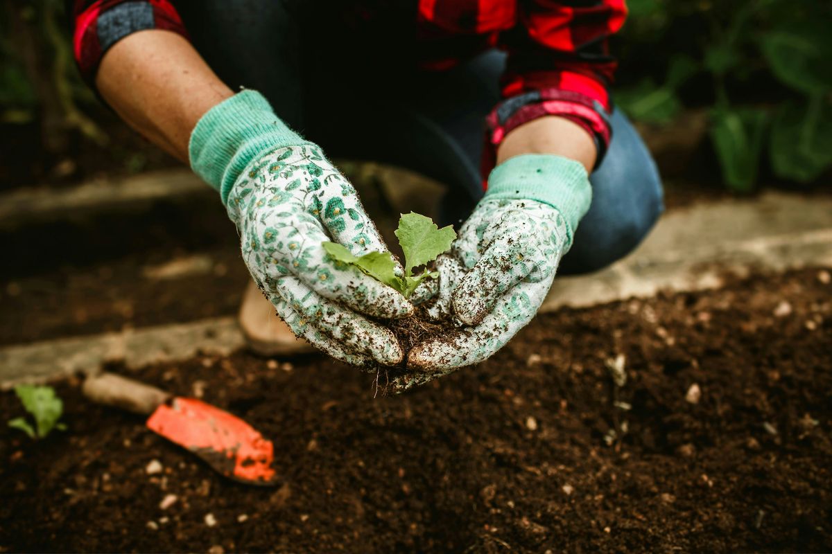 Water-wise gardening