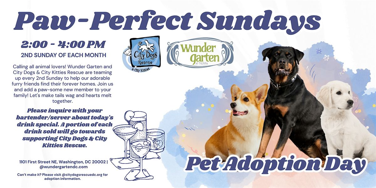 Paw Perfect Sundays: Pet Adoption Day