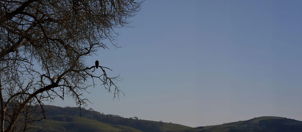 Nature Photography with Rory Earnshaw