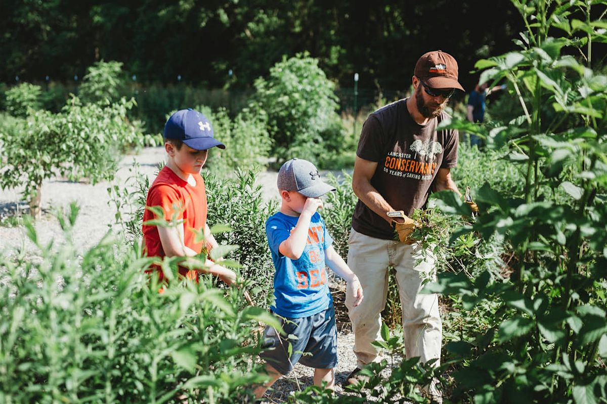 Exploration Hike: Falmouth Forest Garden at Conoy Wetlands Nature Preserve