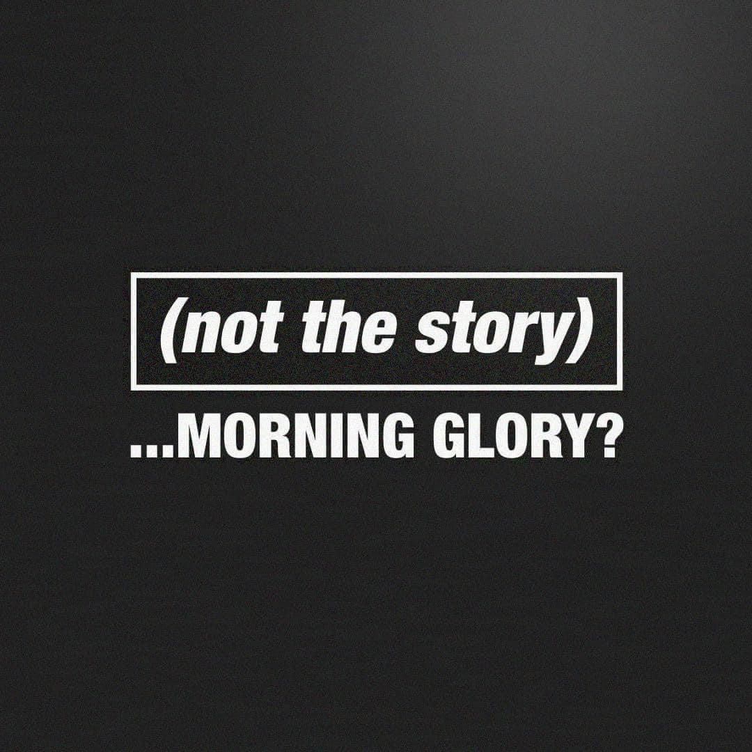 Not The Story Morning Glory 