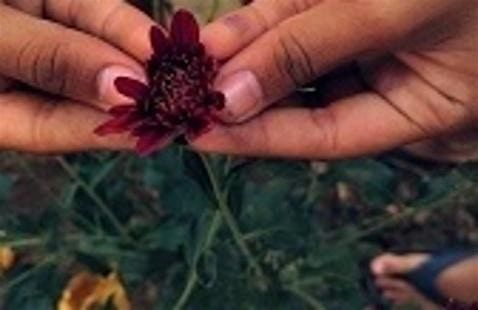 Nature in Mind - Human Flourishing: Sowing the Seeds of Thriving