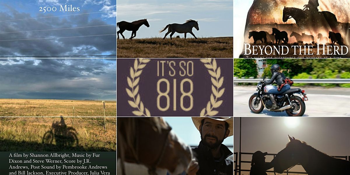 VFF25: "2500 Miles" with "Beyond the Herd"