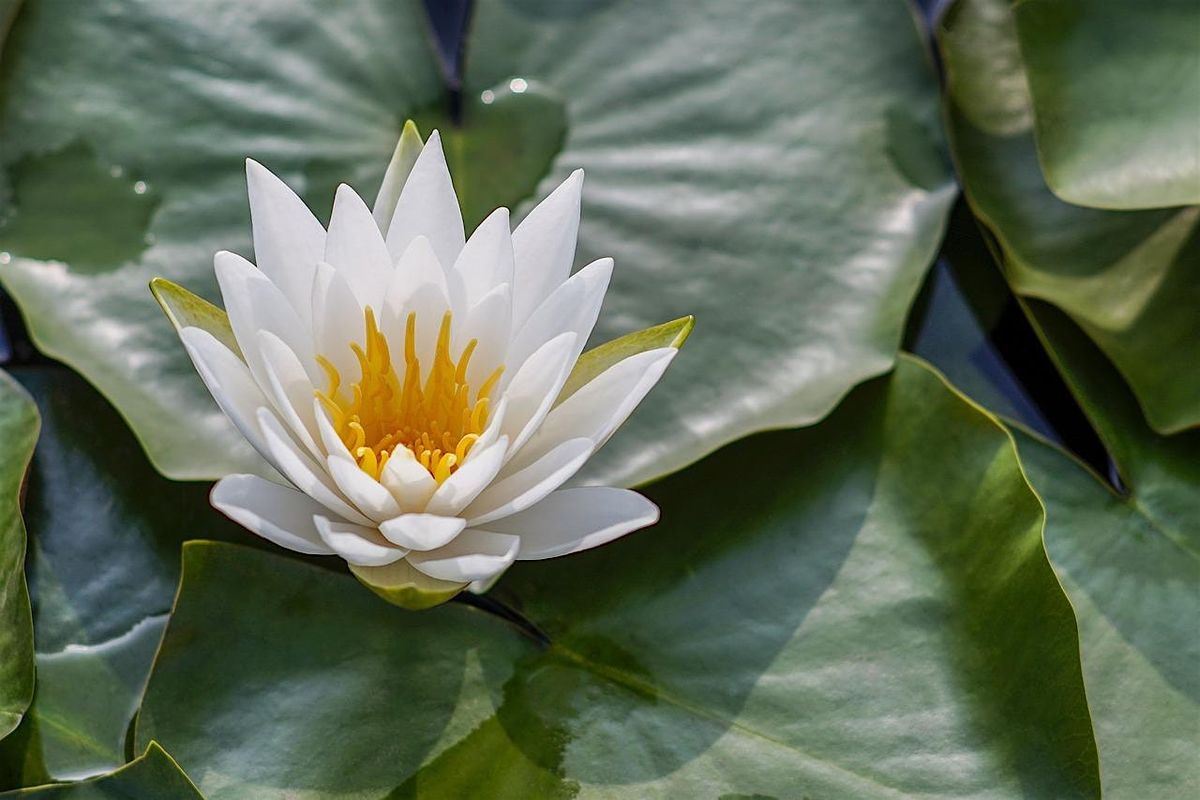 Positive Thinking and Meditation