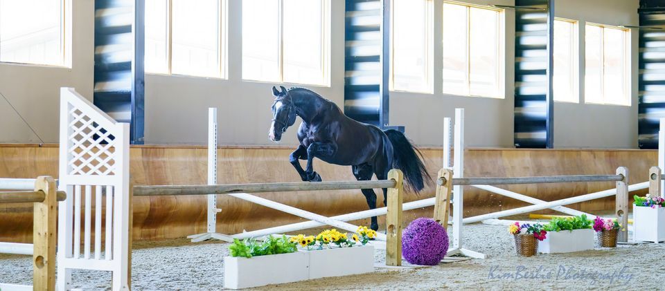 2024 CSHA AGM, Rocky Mountain Show Jumping, Okotoks, 24 February 2024