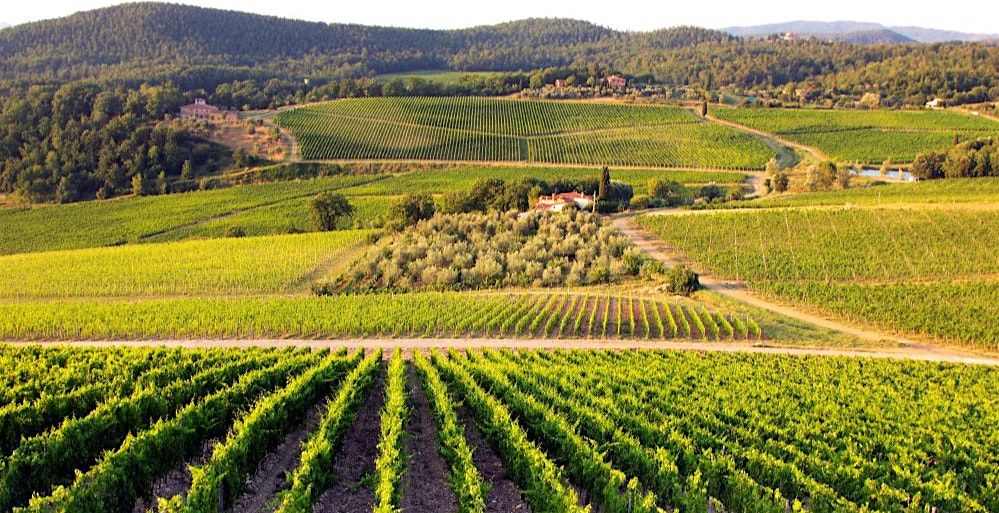 Frescobaldi Wine Dinner @ Theo Randall Cucina Italiana
