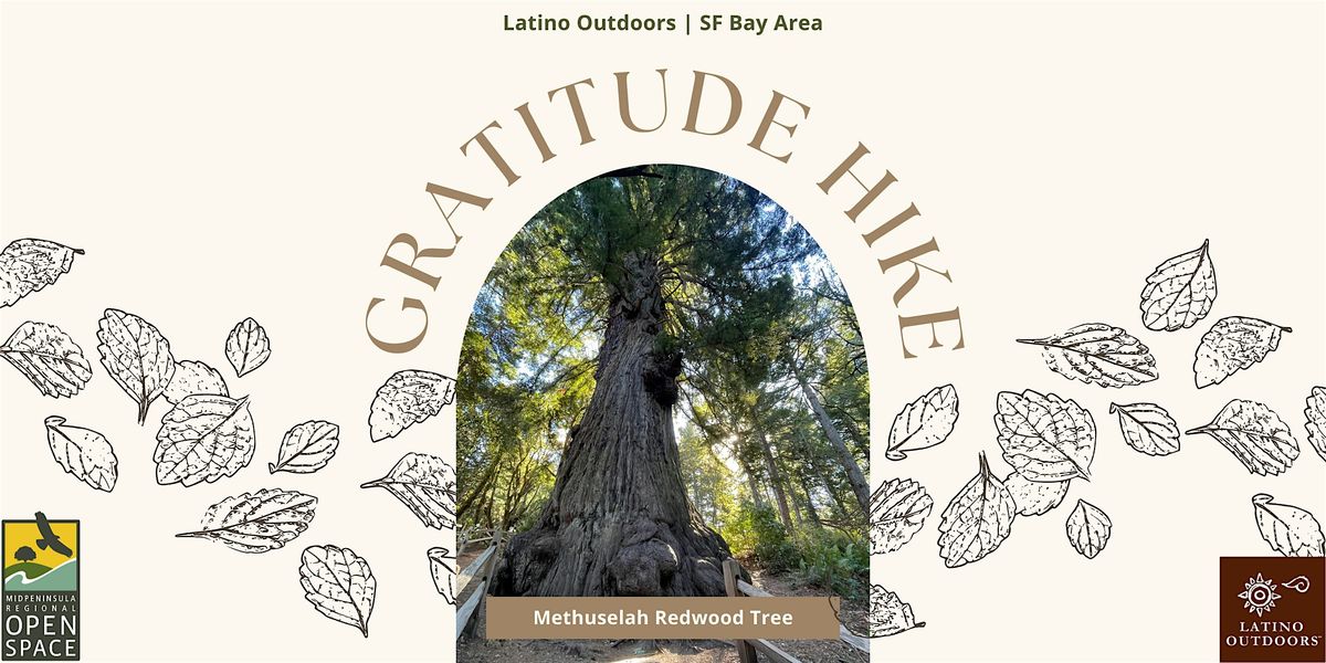 LO SF Bay Area | Gratitude Hike