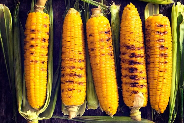Corn Galore: Cooking and Exploring Summer's Bounty
