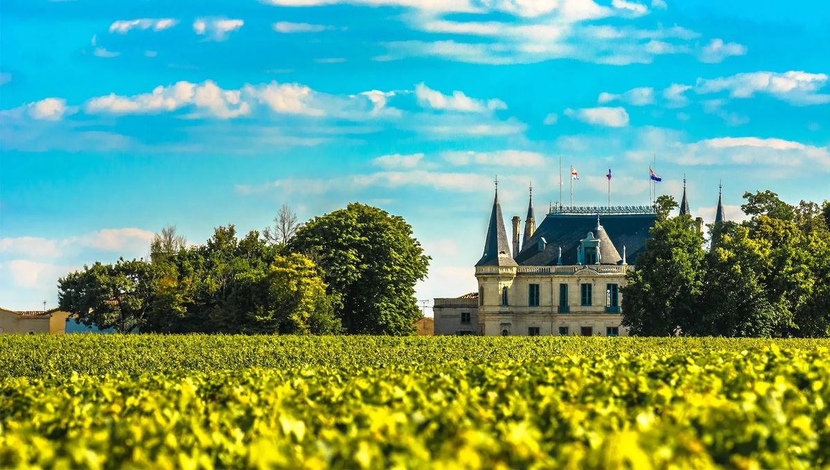 Re-Discovering Bordeaux Wine Dinner