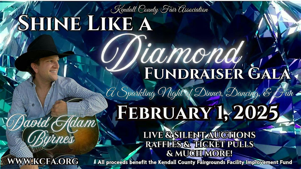 Shine like a Diamond Fundraiser Gala