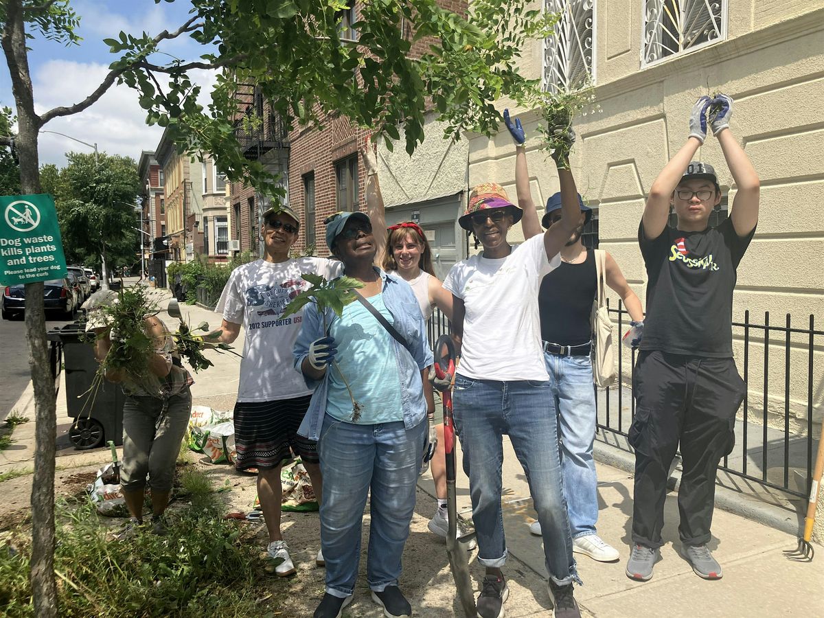 Street Tree Care w\/ HSVK Block Association