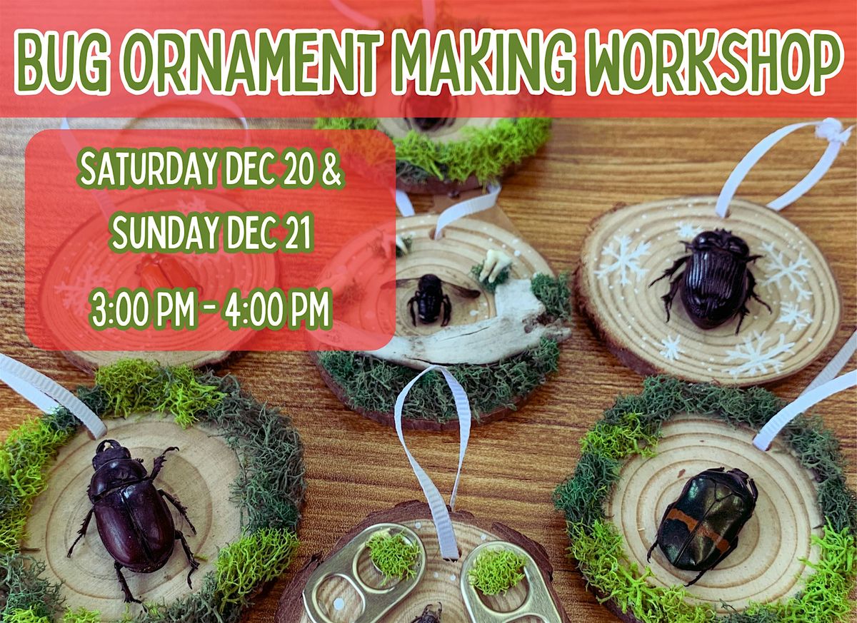 Bug Ornament Making Workshop - December 2025