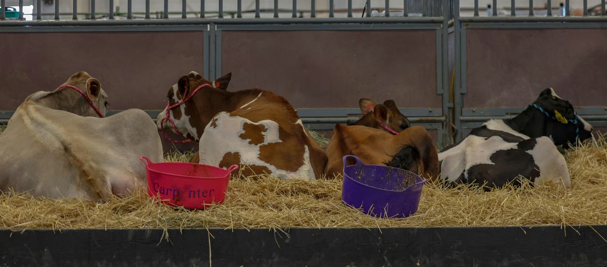 4-H Town Hall at The Ranch Events Complex