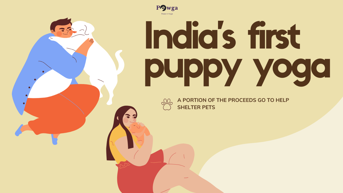 Pawga Puppy Yoga Hyderabad