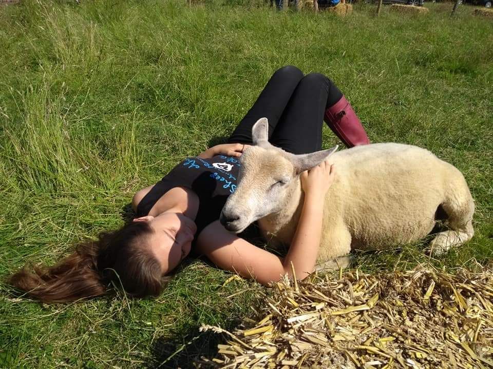 Sheep Ahoy Autumn Open Day 2024