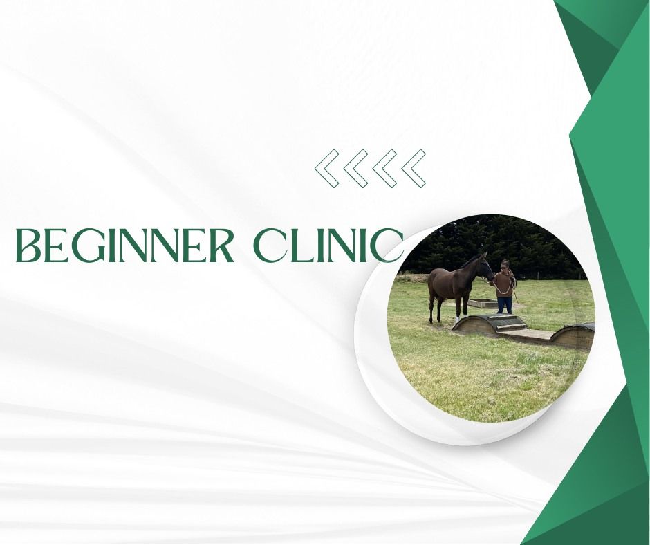 Beginner Clinic