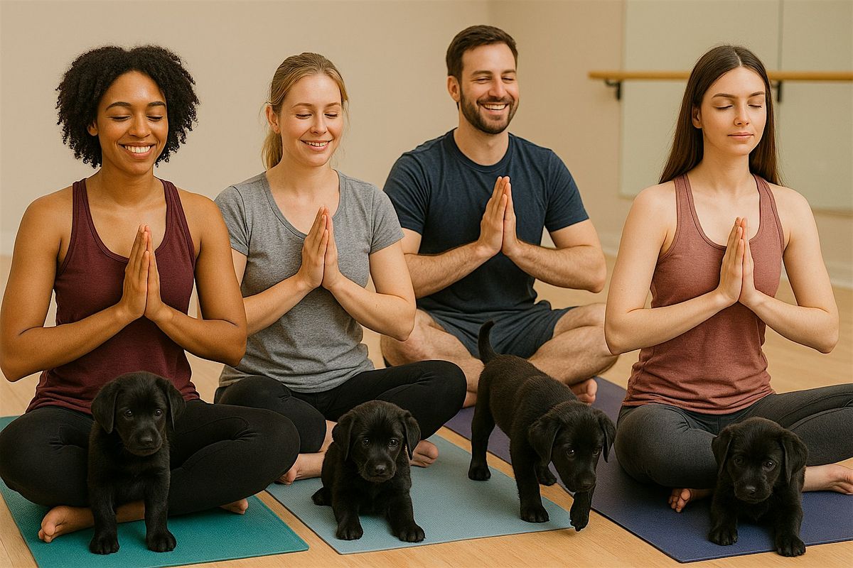 Puppy Yoga with Black Labs- October 18th