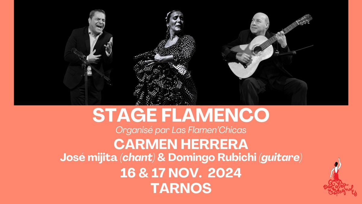 STAGE FLAMENCO avec Carmen Herrera par Las Flamen'Chicas