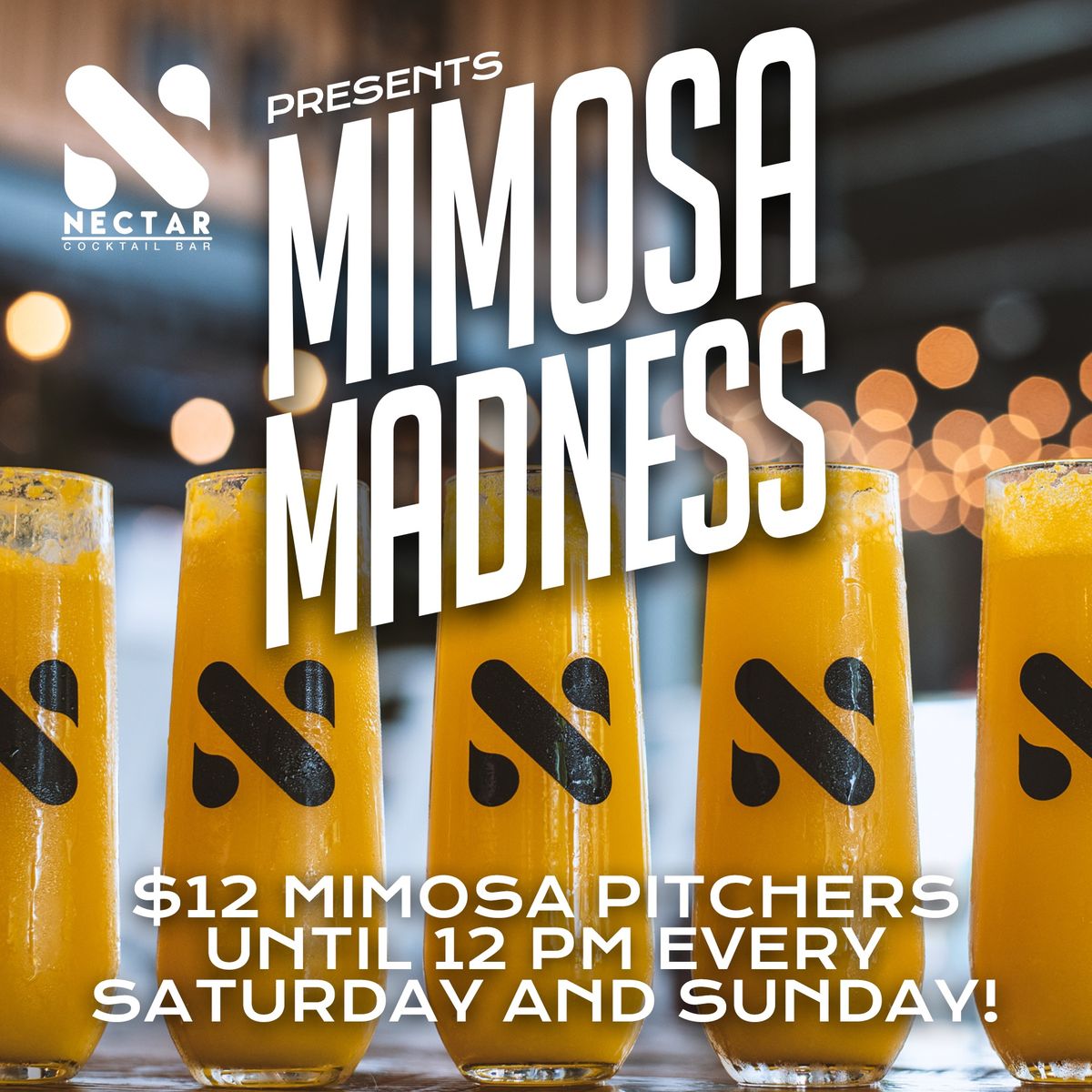 Mimosa Madness!