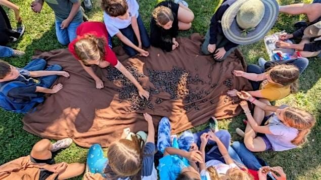 Community Acorn Harvest
