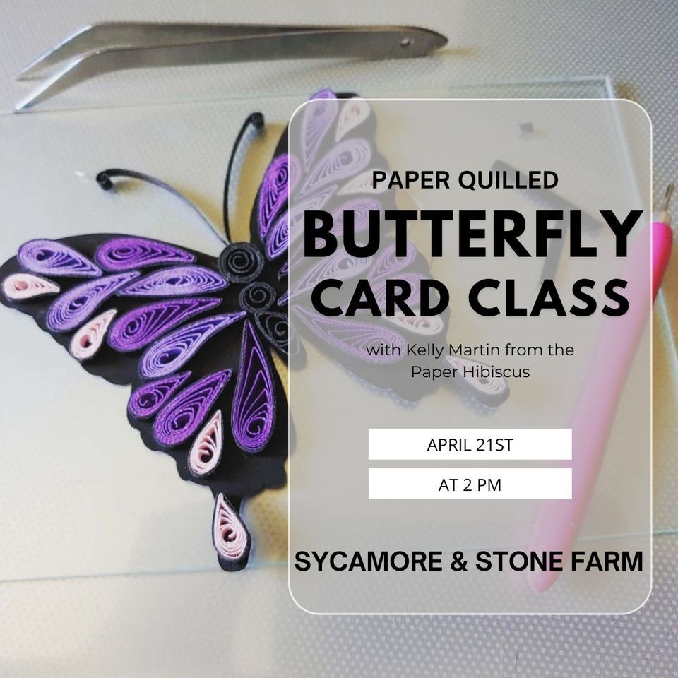 Paper Quilled Butterfly Card