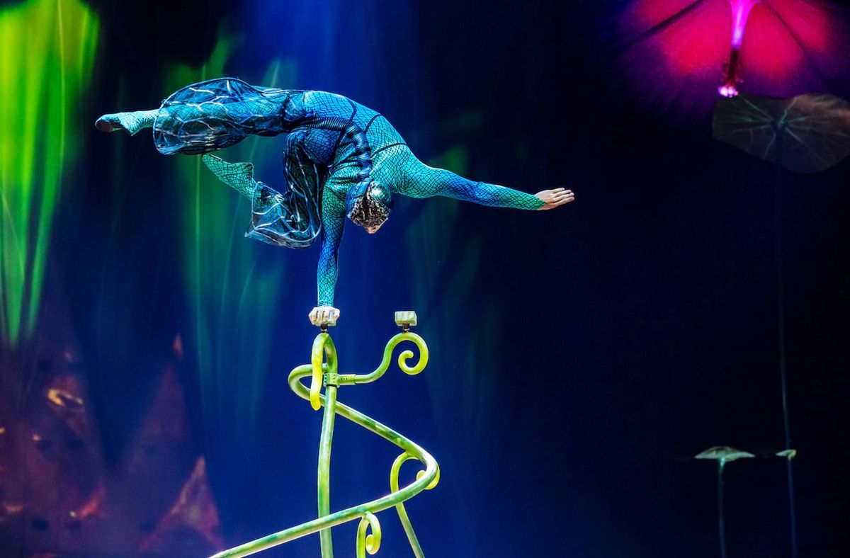 Cirque du Soleil: OVO - Houston