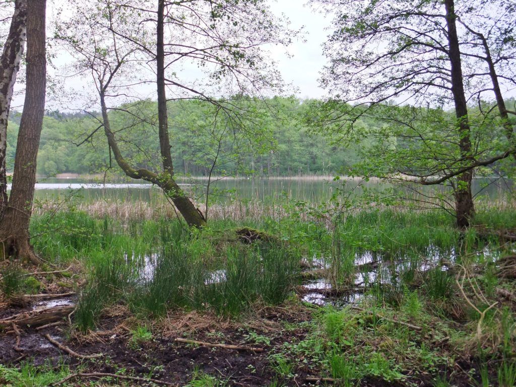 Wanderung von Michendorf zu den Lienewitzseen